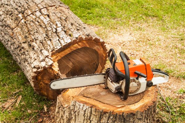 Tree Cutting Service in Howell