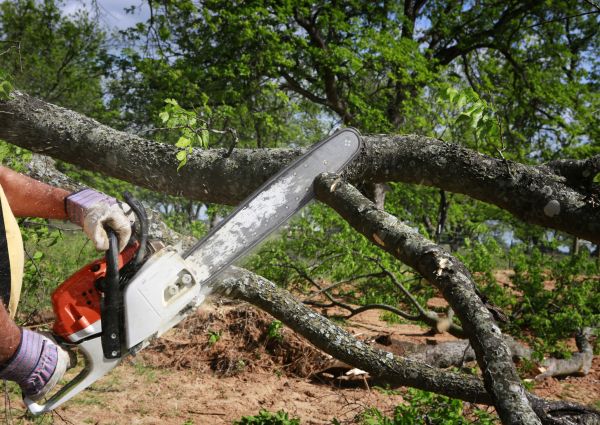 Cost of Tree Branch Cutting in Howell