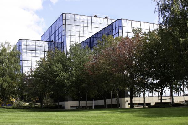Commercial Tree Trimming in Howell